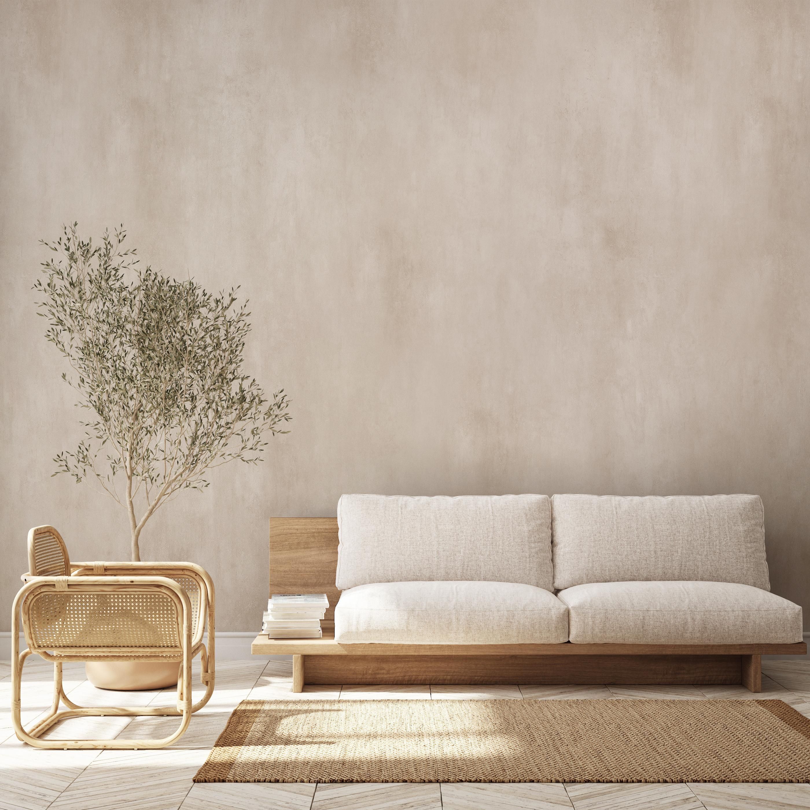 A broad plastered wall in a furnished interior, with a low timber sofa, a woven chair and an olive tree below it.